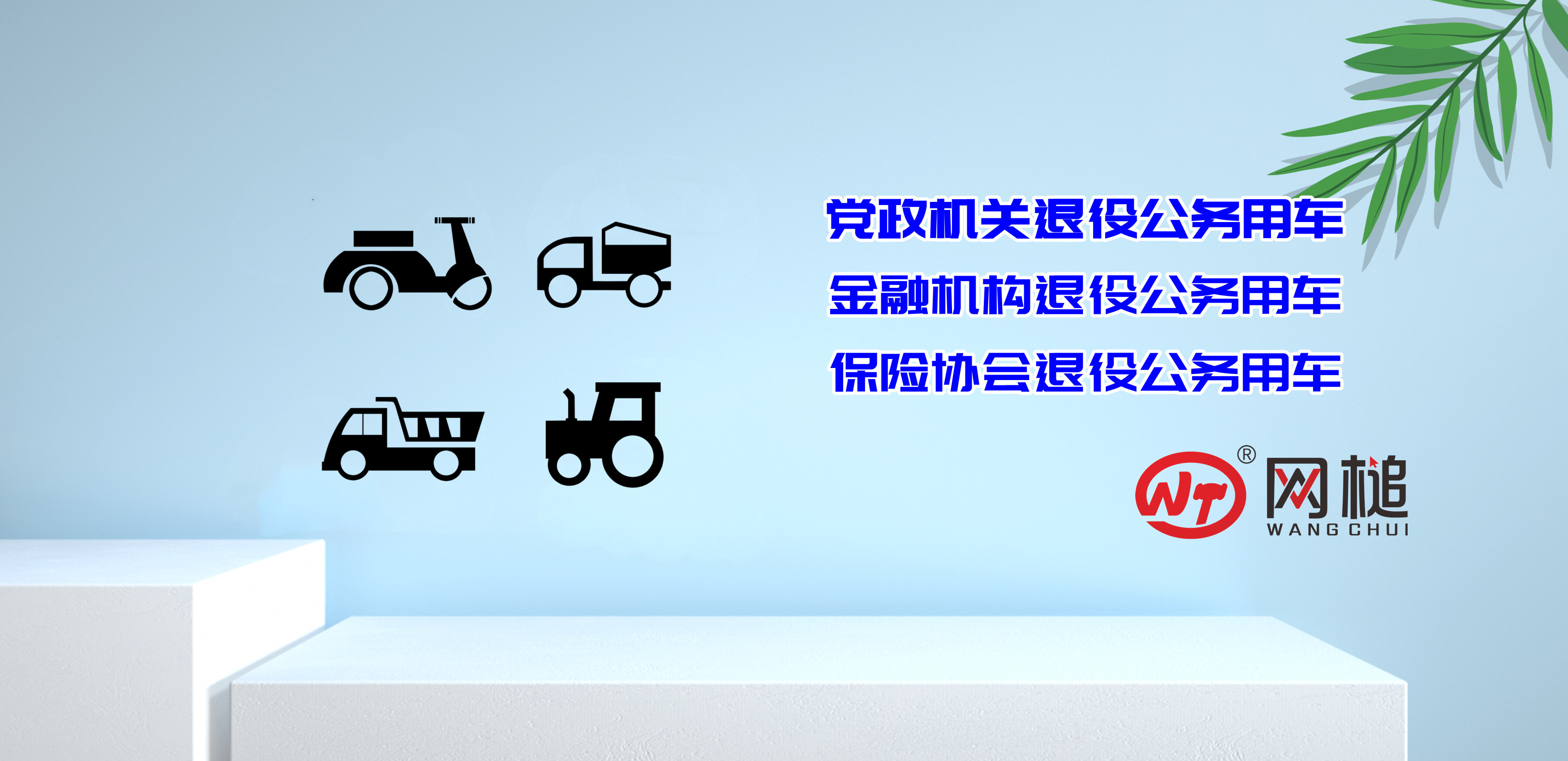 党政机关和金融保险机构退役公务用车